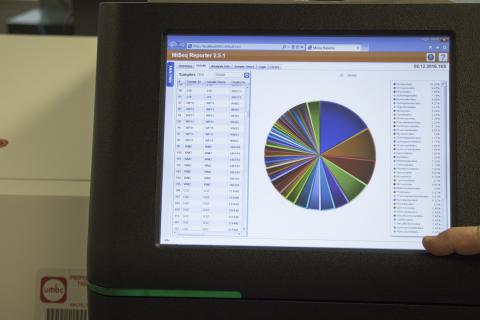 compute screen showing a pie chart